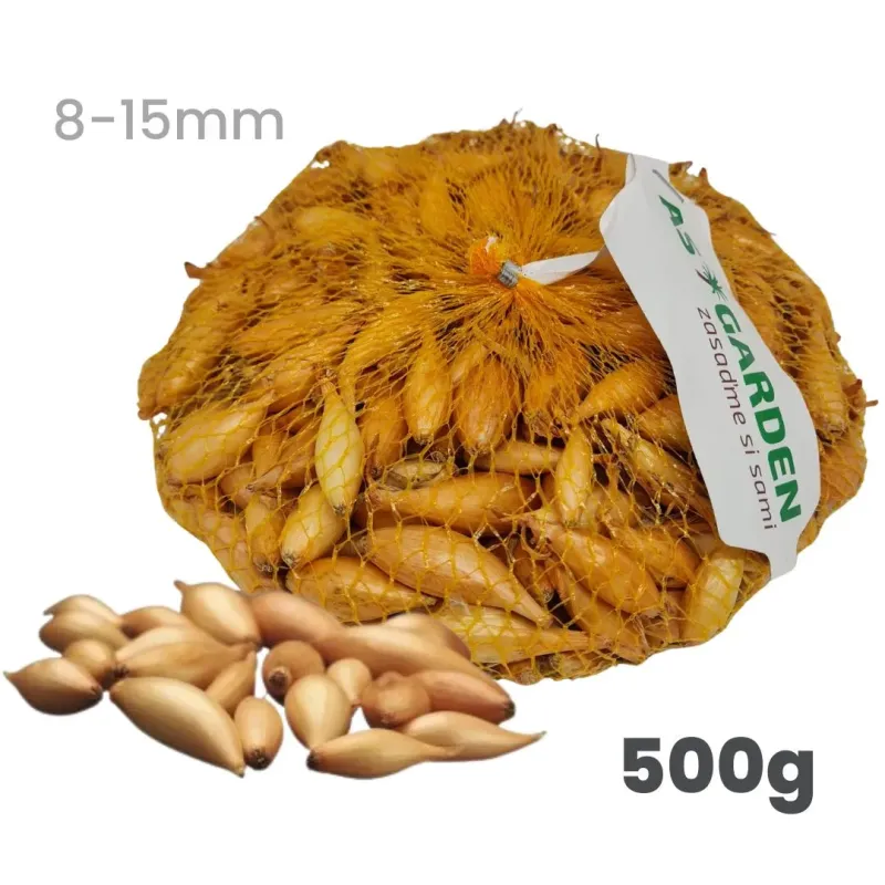 Cibuľa sadzačka Birnformige 500 g 8-15 mm