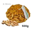 Cibuľa sadzačka Birnformige 500 g 8-15 mm