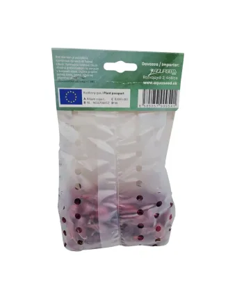 Cibuľa sadzačka Karmen 200 g 8-21 mm