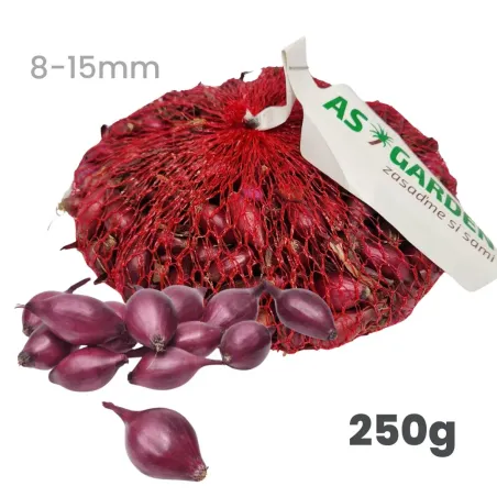 Cibuľa sadzačka Karmen 250 g 8-15 mm