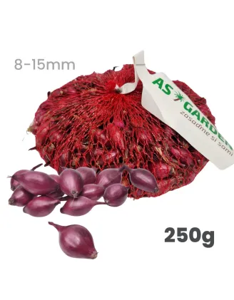 Cibuľa sadzačka Karmen 250 g 8-15 mm