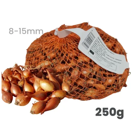 Cibuľa sadzačka Makoi 250 g 10-13 mm