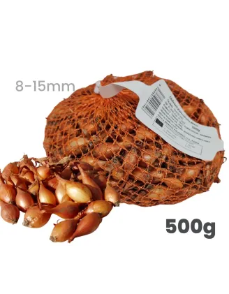 Cibuľa sadzačka Makoi 500 g 10-13 mm