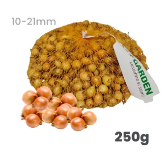 Cibuľa sadzačka Radar ozimná 250 g 10-21 mm