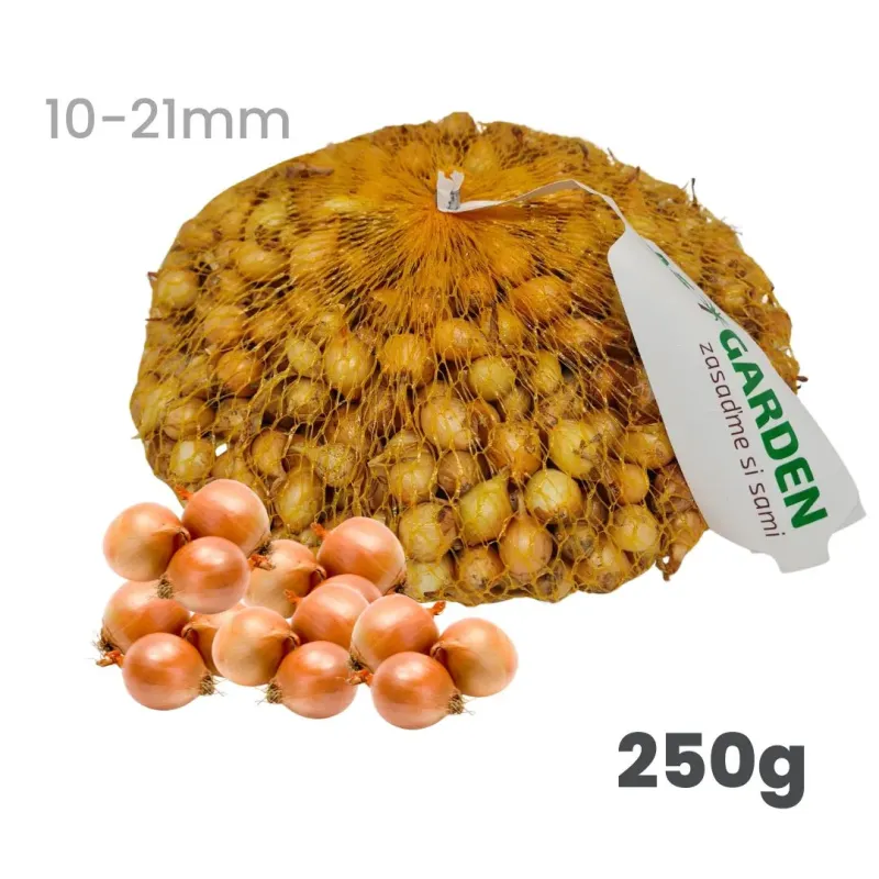 Cibuľa sadzačka Radar ozimná 250 g 10-21 mm