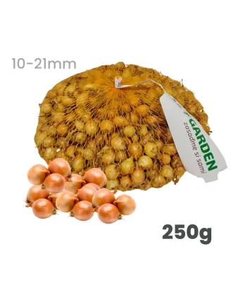 Cibuľa sadzačka Radar ozimná 250 g 10-21 mm