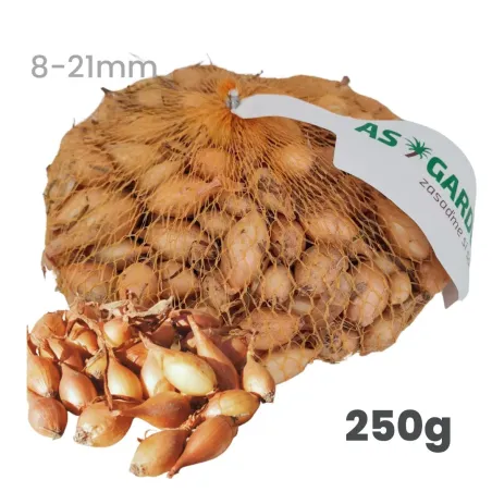 Cibuľa sadzačka Senshyu Yellow ozimná 250 g 8-21 mm