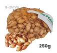 Cibuľa sadzačka Senshyu Yellow ozimná 250 g 8-21 mm