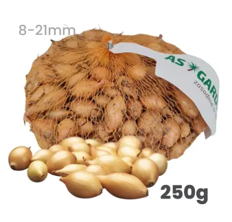 Cibuľa sadzačka Shakespeare ozimná 250 g 8-21 mm