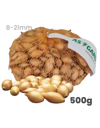Cibuľa sadzačka Shakespeare ozimná 500 g 8-21 mm
