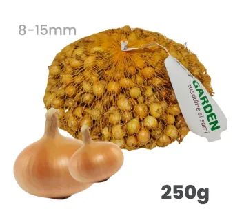 Cibuľa sadzačka Štutgart 250 g 8-15 mm