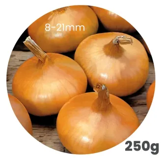 Cibuľa sadzačka Štutgart 250 g 8-21 mm Euro