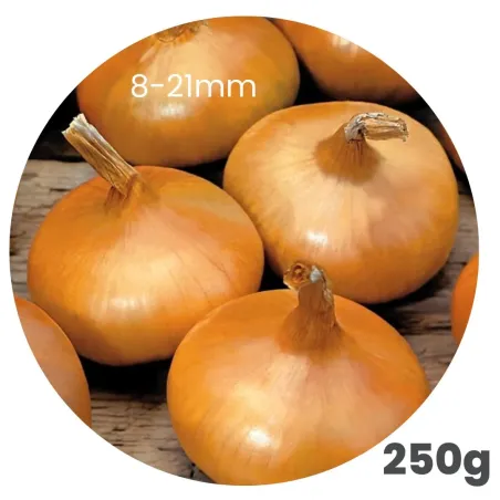Cibuľa sadzačka Štutgart 250 g 8-21 mm Euro