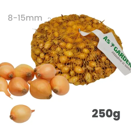 Cibuľa sadzačka Všetana/Sturon 250 g 8-15 mm