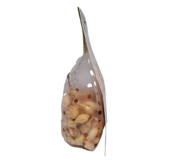 Cibuľa sadzačka Všetana 300 g 8-21 mm