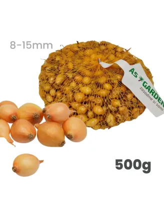 Cibuľa sadzačka Všetana/Sturon 500 g 8-15 mm
