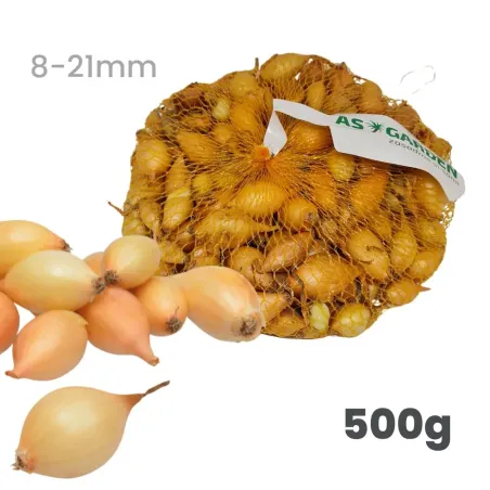 Cibuľa sadzačka Všetana/Sturon 500 g 8-21 mm Euro