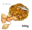 Cibuľa sadzačka Všetana/Sturon 500 g 8-21 mm Euro