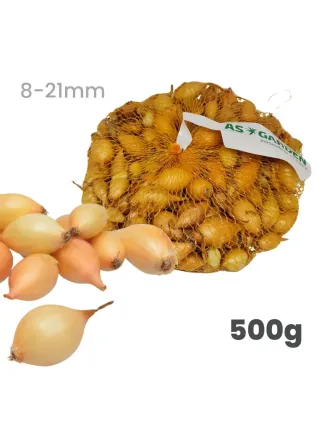 Cibuľa sadzačka Všetana/Sturon 500 g 8-21 mm Euro