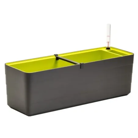 Truhlík Berberis 60 cm antracit + zelená