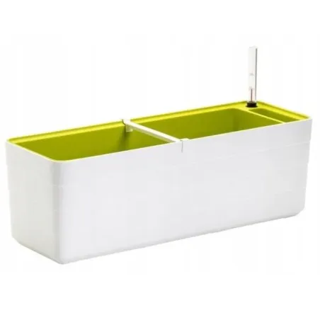 Truhlík Berberis 60 cm biela + zelená