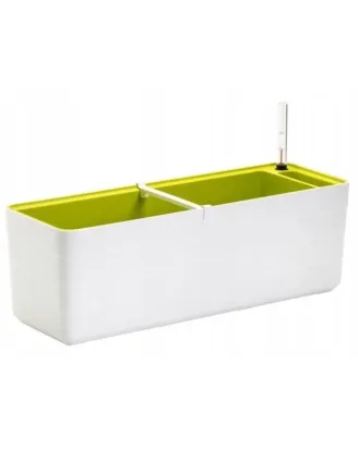 Truhlík Berberis 60 cm biela + zelená