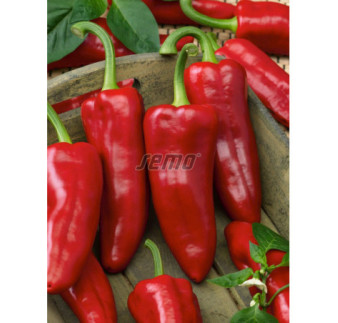 Paprika zeleninová kápia Radmila F1