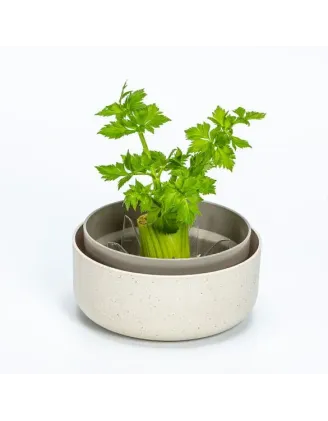 Regrow slonová kosť klíčky