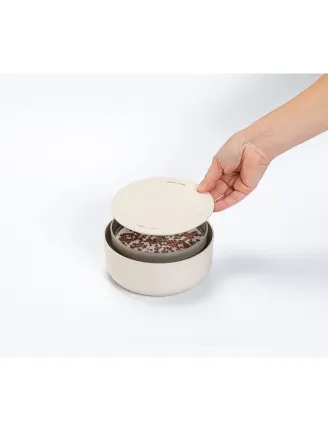 Veľká farma Microgreens+Regrow slonová kosť klíčky