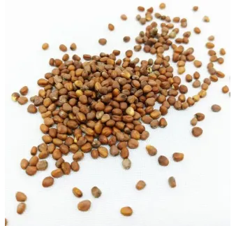 Štartovacia sada Microgreens klíčky