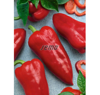 Paprika zeleninová kápia Raduza F1