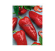 Paprika zeleninová kápia Raduza F1