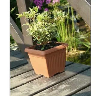 Kvetináč Terra 19 cm hranatý terakota