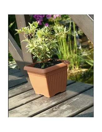 Kvetináč Terra 37 cm hranatý terakota