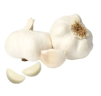 Cesnak sadbový Makoi 60 mm 20 kg vrece nepaličiak