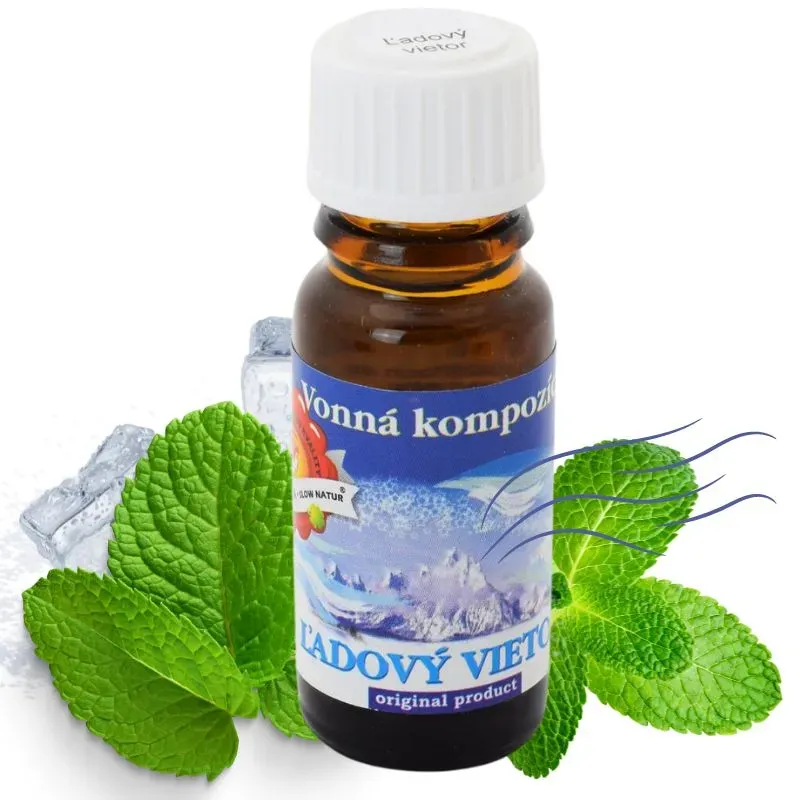 Vonný olej 10 ml - Ľadový vietor Vonný olej 10 ml - Ľadový vietor