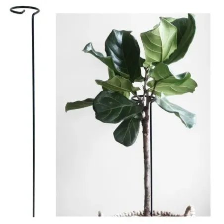 Opora pre rastliny s krúžkom 60 cm