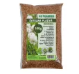 Ďatelina plazivá Rivendel 100 g AS Garden