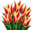 Tulipán Johann Strauss – červeno-žltý Tulipán Johann Strauss – červeno-žltý