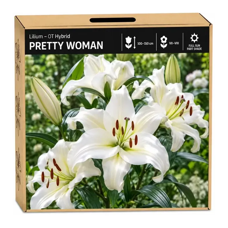 Ľalia Pretty Woman – biela OT hybridná ľalia Ľalia Pretty Woman – biela OT hybridná ľalia