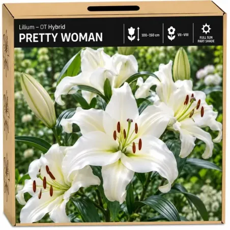 Ľalia Pretty Woman – biela OT hybridná ľalia