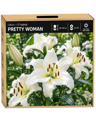 Ľalia Pretty Woman – biela OT hybridná ľalia