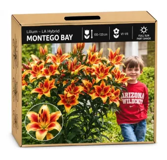 Ľalia Montego Bay – LA hybrid