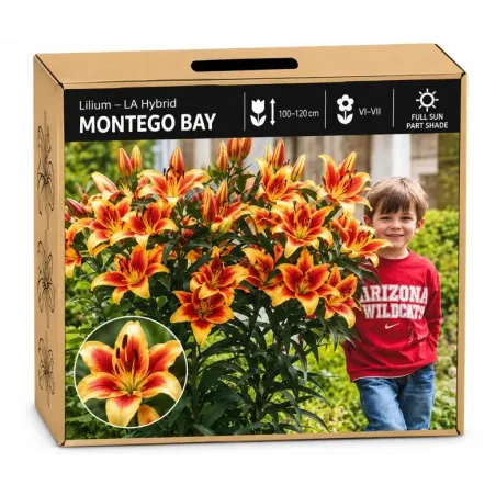 Ľalia Montego Bay – LA hybrid