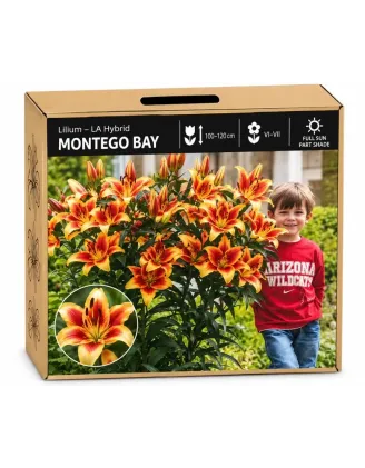 Ľalia Montego Bay – LA hybrid