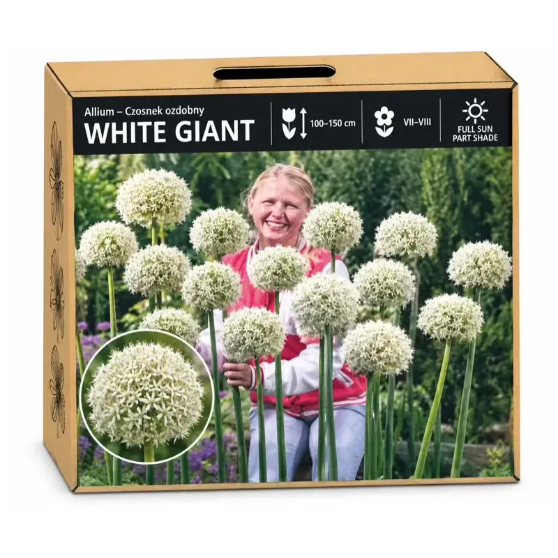 Okrasný cesnak White Giant – biely Okrasný cesnak White Giant – biely