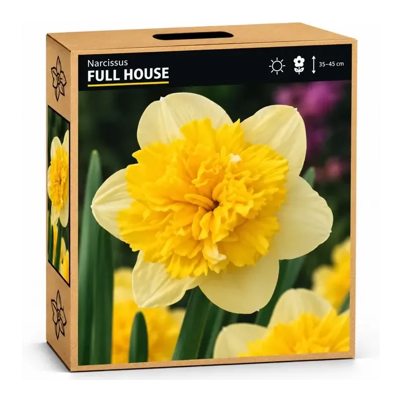 Narcis Full House Narcis Full House
