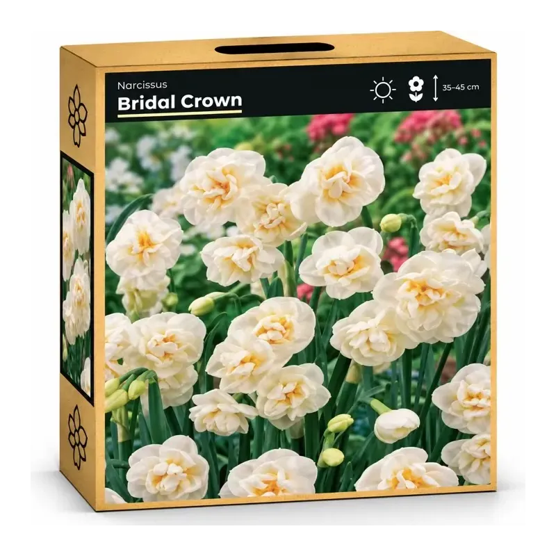 Narcis Bridal Crown