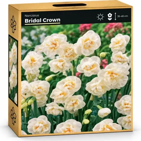 Narcis Bridal Crown