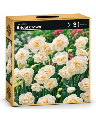 Narcis Bridal Crown